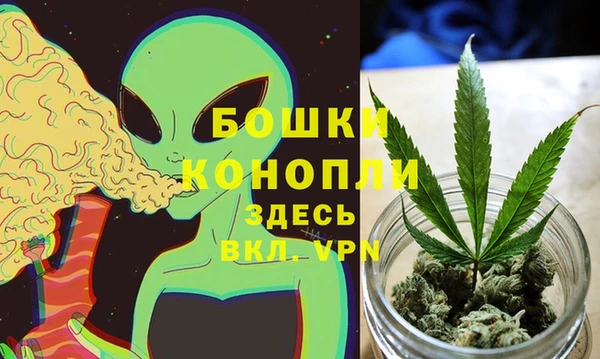 спиды Иннополис