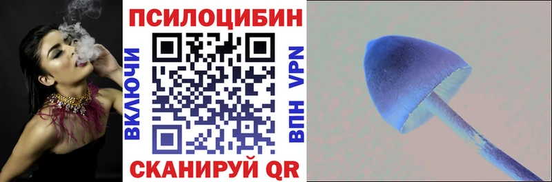 даркнет сайт  Карталы  Галлюциногенные грибы Psilocybine cubensis 